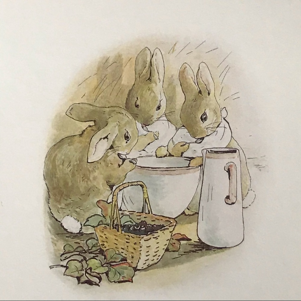 Beatrix Potter Peter Rabbit Soft Touch & Feel Board Book - Picture 3 of 5